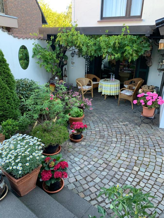 Apartment Loew